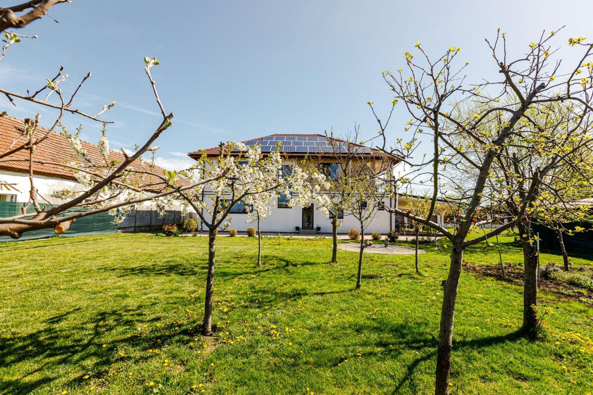 Hotel Gasthaus Sacalaz Timisoara Esterno foto